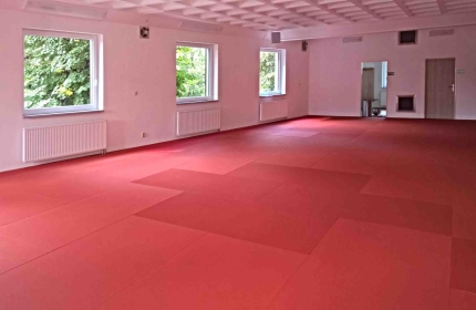 TJ LOKOMOTIVA BEROUN